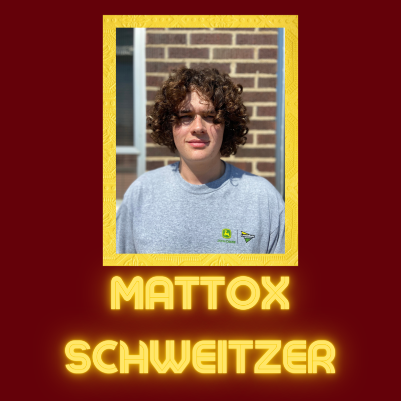 Mattox Schweitzer